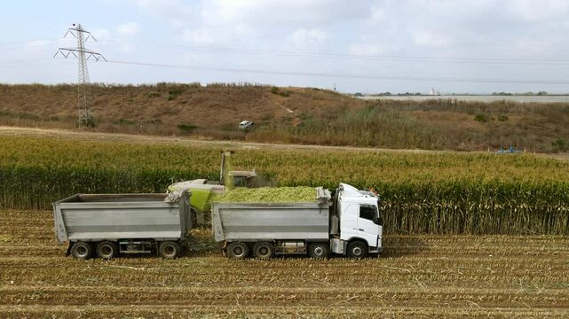 Drone shot of harvesting green corn for silage.
A shot of the combines chimney, pouring the corn into the truck. The combine reaches the end of the line. Blue sky, clear day with clouds.