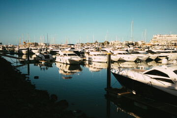boats in marina at dawn