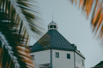 top of a building in Faro, Portugal, with palm fronds in the foreground
