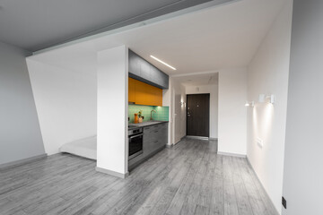 Modern Kitchen Interior with Stylish Colorful Furniture and Hardwood Floor. Oven, Sink, Flower, Minimalistic Interior Design. LED Lights, Hardwood Wooden Floor. Open Space. Bedroom in Background