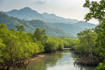 Fototapeta premium Ru Cha Mangrove Forest, nestled in Hue's Tam Giang Lagoon.
