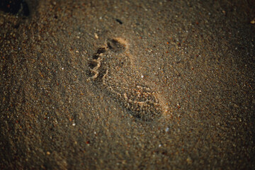 toddlers footprint in sand