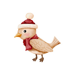 Watercolor Christmas with adorable winter bird cartoon character, Perfect for Christmas greeting cards and festive decoration vector