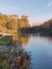 Autumn day on the outskirts of the Moscow region
