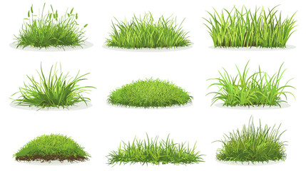 Set of vector grass illustrations on a white background Green flat meadows on white background Green turf vector set. Lawn field pasture grassland blades of grass Eco element foliage, stylized ecology © The Illustraitor