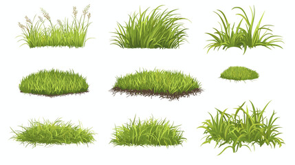 Set of vector grass illustrations on a white background Green flat meadows on white background Green turf vector set. Lawn field pasture grassland blades of grass Eco element foliage, stylized ecology