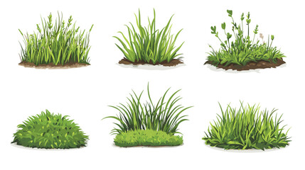 Set of vector grass illustrations on a white background Green flat meadows on white background Green turf vector set. Lawn field pasture grassland blades of grass Eco element foliage, stylized ecology