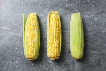 Fresh corn on cobs on gray background, top view