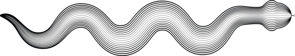 Chinese new year 2025 zodiac snake symbol .design elements . Year of the snake .World snake day logo. Line art . Vector illustration