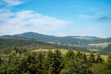 Fototapeta premium Landscape, green meadow, pasture and forest, countryside Germany, farmland in summer, Moselle valley, Rhineland Palatinate