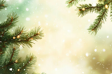 Christmas pine background
