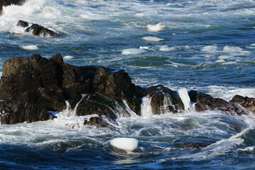 北海道　根室の花咲岬と流氷