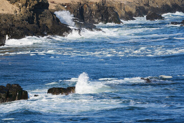 北海道　根室の花咲岬と流氷