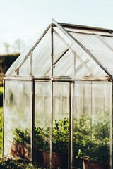 Minimalist Small Greenhouse Design for Eco-Friendly Gardening Projects