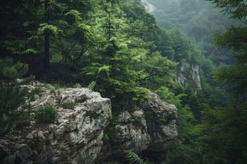 A lone individual stands at the edge of a cliff overlooking a dense forest, great for adventure or outdoor concepts