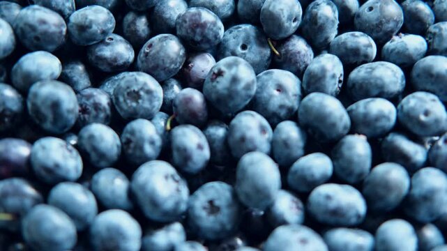 Fresh Blueberries Background. Piled Blueberry Spinning Backdrop. Sweetest Delight. Vibrant closeup of plump ripe blue berries are healthy recipes, snacks. Full frame. Ideal for food, health, nature