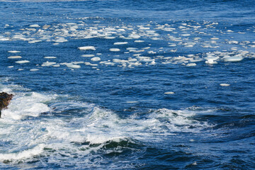 Fototapeta premium 北海道 根室の花咲岬と流氷