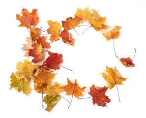 Autumn leaves background with copy space. Colorful leaves on ground with empty place isolated on white background, autumn concept.