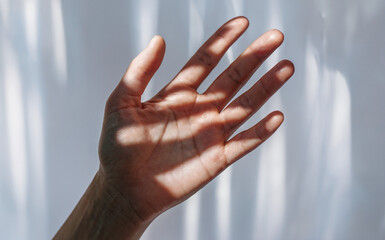 Palm Up with Spread Fingers: An extreme close-up shot of a single hand facing upwards with fingers slightly spread