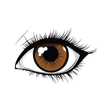 recommend clip art: eye with iris and eyelashes clip art
