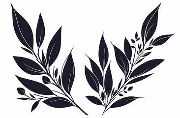 Fototapeta premium black and white graphic elements - leaves 