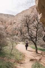 Obraz premium A woman is walking on a rocky mountain with a backpack, the trees are full of blossoms