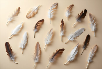 Collection of various feathers arranged aesthetically on a soft beige background