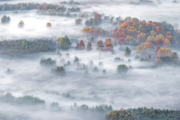 The autumn season, fogs and autumn leaves colors