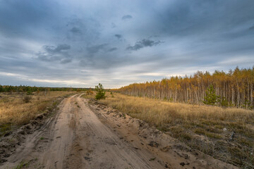 A dirt road in a field with a cloudy sky in the background