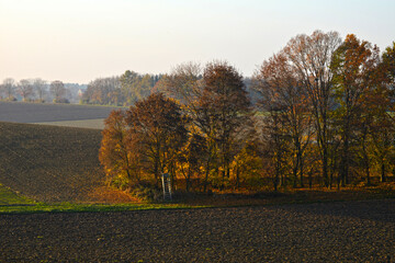 Naklejka premium Feldlandschaft, Herbst