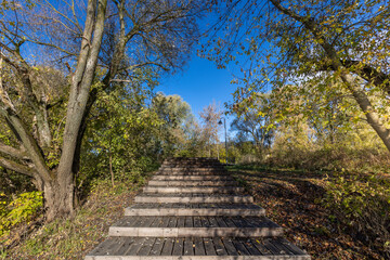 Fototapeta premium A wood staircase leading up to a tree