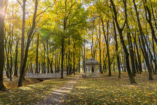 A park with a white gazebo and a bridge - Powered by Adobe