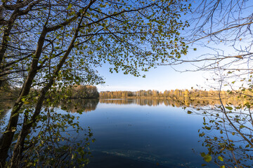 A lake with a tree in the background