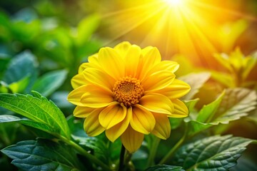 Obraz premium Vibrant Yellow Flower in Nature: A Stunning Display of Petals, Sunshine, and Serenity for Conceptual Photography Enthusiasts