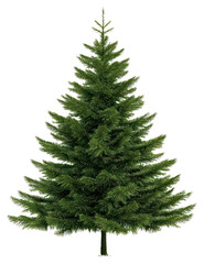 PNG A Christmas tree decoration christmas christmas tree.