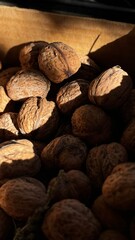 Freshly harvested walnuts sitting in a cardboard box under natural light, textured shells
