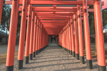 Tunnel of Torri gate in Japanese shrine