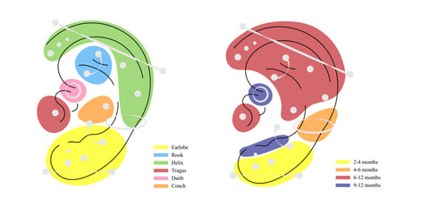 Different types of ear pierced. Vector infographic elements illustration. International body piercing day. Line art picture