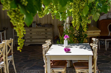 Greek restaurant tables under a vine canopy providing shady areas for people to sit. Alfresco dining cuisine.