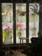 The Beauty of Flowers in a Refrigerated Display: A Quiet Corner of the Florist