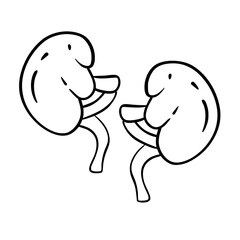 Human Organs and Anatomy Related Objects and Elements. Hand Drawn Vector Doodle Illustration