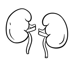 Human Organs and Anatomy Related Objects and Elements. Hand Drawn Vector Doodle Illustration