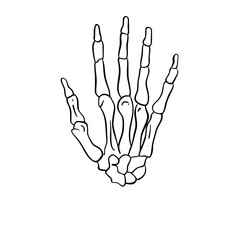 Human Organs and Anatomy Related Objects and Elements. Hand Drawn Vector Doodle Illustration