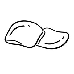 Human Organs and Anatomy Related Objects and Elements. Hand Drawn Vector Doodle Illustration