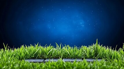 Night Sky Above Lush Green Grass with Stone Pathway