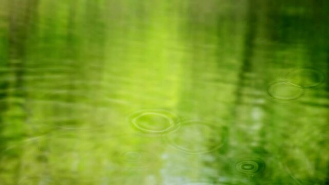 raindrops falling on sunny water texture, closeup of a green flowing water surface, empty motion design template for beauty spa, gardening or wellbeing outdoors