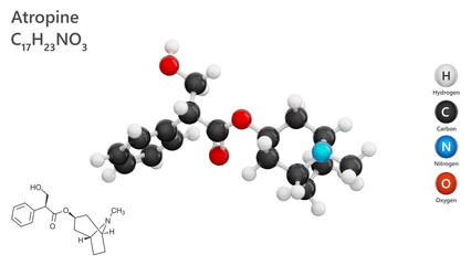 Molecule: Atropine. Tropane alkaloid. Molecular structure. Formula: C17H23NO3. Chemical model: Ball and stick. White background. 3D illustration.