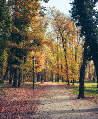 autumn path in the park. trees in autumn colors. lantern and banch in city park alley. fallen autumn leaves. fall beauty in nature. wallpaper