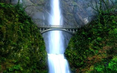 Bridge in the Forest HDR Composition Picturesque Background