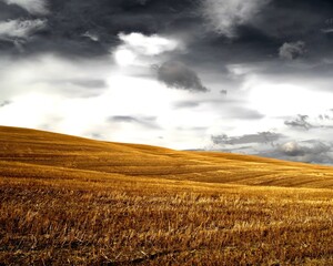 Bright Field HDR Natural Background